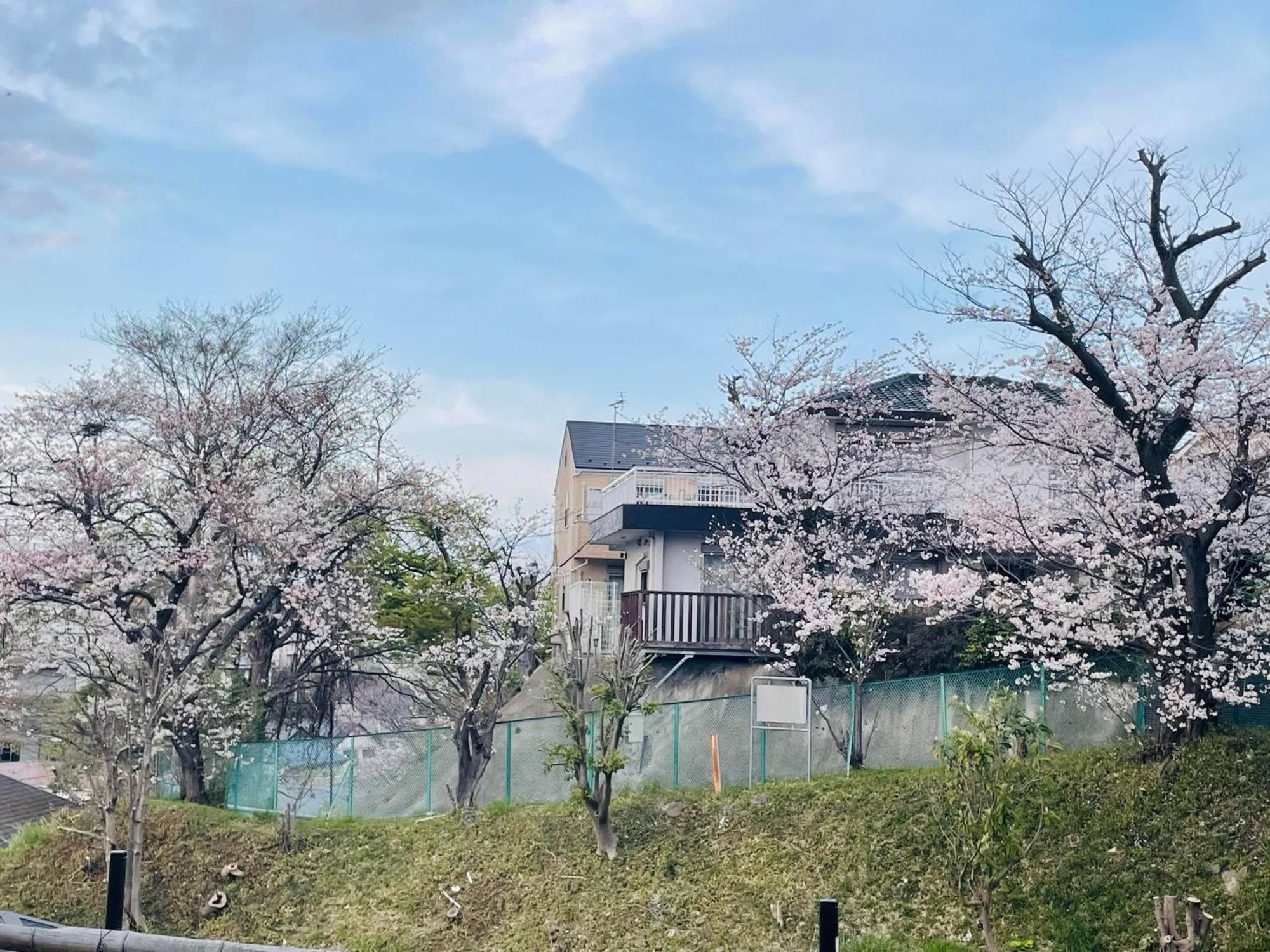 ソフィアハウス横浜 -女性専用シェアハウス- Sopfia House Yokohama For Women Only Shared House Hotel Екстериор снимка